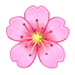 Sakura Flower
